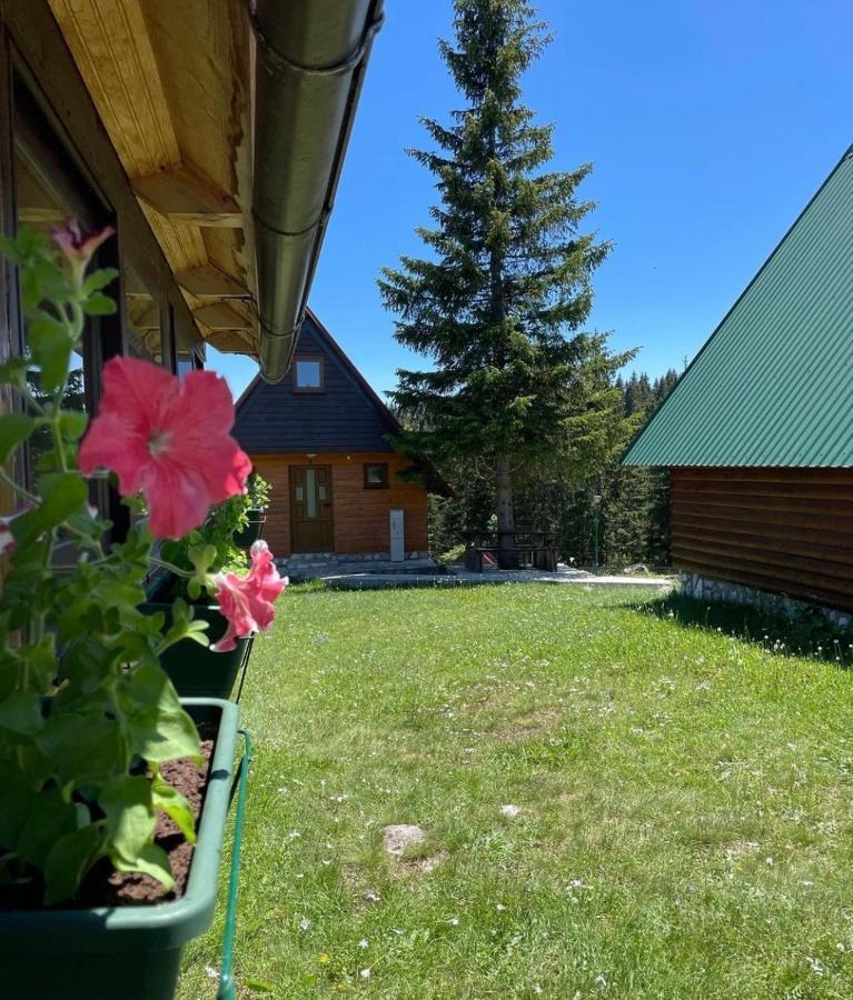 Bungalows Krstajic Žabljak Exterior foto